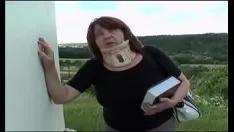 Odtwórz Stara świnia na trawniku ze schodami