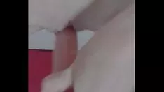 播放 我的毛绒玩具