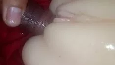 播放 喂养美味的小猫