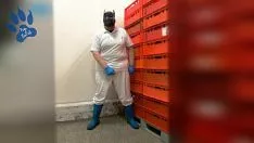 Afspelen Dijk(re)pup piindruk van bezig