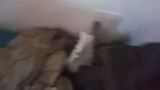 Afspelen Hooivelden 2