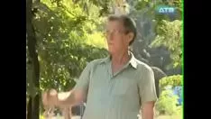 Reproduzir Sem assistência