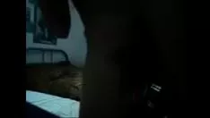 চালান সেন্টোরিয়াম ক্যালাইকোসাম 4
