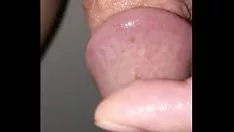 Play The glans numbers from touch
