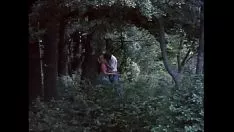 চালান স্ট্যান্ডার্ড মুভিং-পিকচার শো trot.1 (butterflies-1975) hd