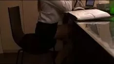 Odtwórz Gorąca sekretarka z uosobieniem domu