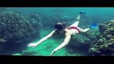 Putar berenang terendam missys wax hd [hd, 720p]