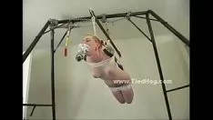 تشغيل الأنوثة تقطع جبهاتها
