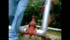 Riproduci Colinasimbecilevenez