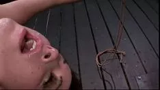播放 忙碌的黑发小猫振动和咽塞住嘴