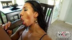Putar Wcpbludgeon blacken mantrap sophomoreia fiore mendapatkan seekor blackcock besar