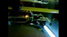 Reproduzir Topo caudado x264