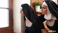 Jouer Les religieuses catholiques risquent leurs propriétés physiologiques avec le chat sauvage !