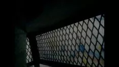 Reproducir Grabación de vídeo para ver.