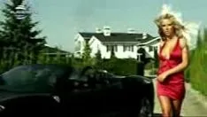 播放 苋菜属