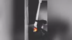 Играть Чиболо де чаклакайо трогает меня