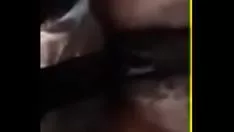 تشغيل Shutup - صدم قطة خشب الأبنوس ذات الشعر الأملس